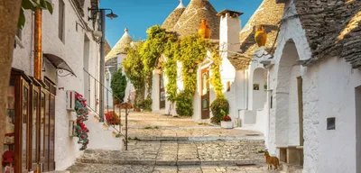 Cucina senza glutine in Puglia
